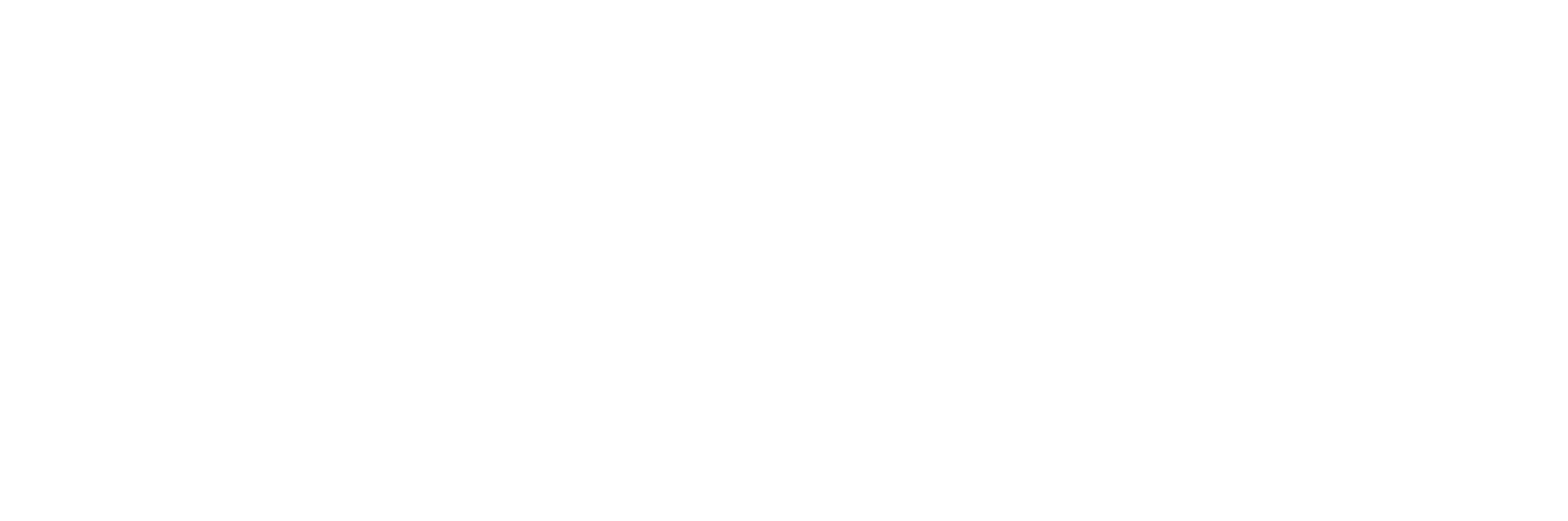 PdB logo-white text
